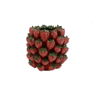 Productfoto aardbei