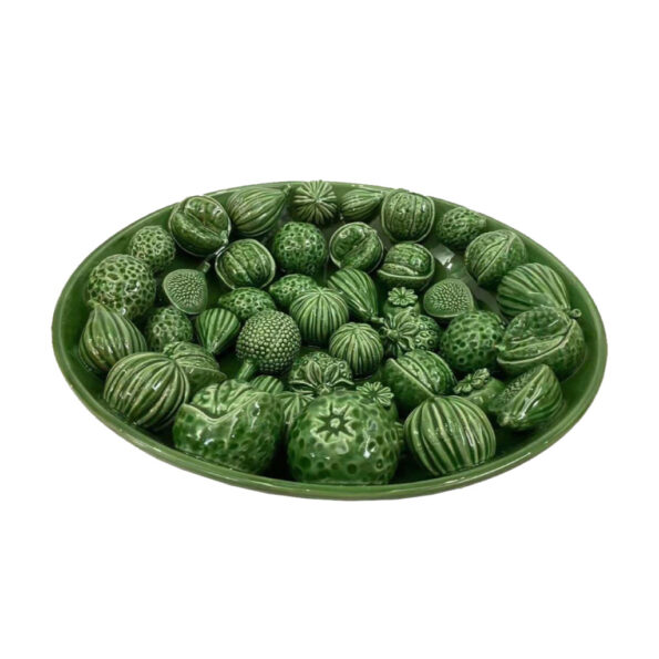 Productfoto schaal groen fruit